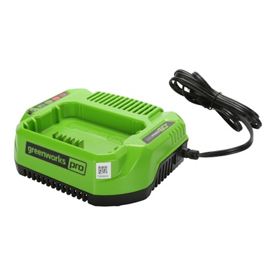 Зарядное устройство Greenworks 60V G60UC 2А