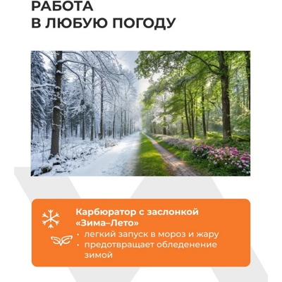 БЕНЗОПИЛА Villartec SB 025 Legend Хит продаж Аналог Stihl  MS250- фото4